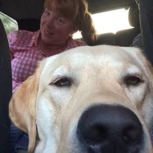 Meet your Posher, Heidi